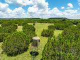 11439 Fm 1602 (124) - Photo 1