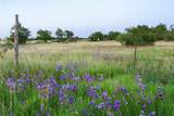 11439 Fm 1602 (124) - Photo 8