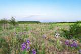 11439 Fm 1602 (124) - Photo 9