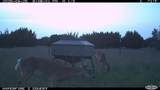 11439 Fm 1602 (161) - Photo 25