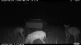 11439 Fm 1602 (161) - Photo 26