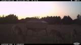 11439 Fm 1602 (161) - Photo 27