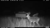 11439 Fm 1602 (161) - Photo 30