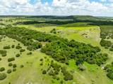 11439 Fm 1602 (161) - Photo 8