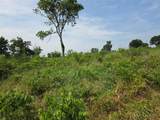 Lot 80 & BL # 16 Shoreside Drive - Photo 8
