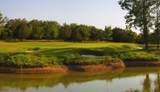 432 Medallion Club - Photo 5