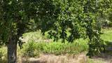 Lot 27 Sunrise Trail - Photo 27