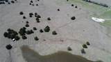 1375 County Road 1030 - Photo 18
