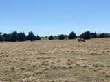 1375 County Road 1030 - Photo 5