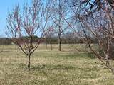 1375 County Road 1030 - Photo 7