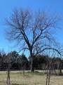 1375 County Road 1030 - Photo 8