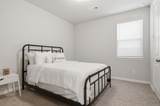910 Winter Cherry Lane - Photo 24