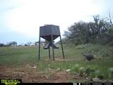 3873 Us Highway 87 - Photo 32