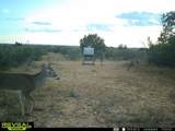 3873 Us Highway 87 - Photo 34
