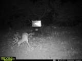 3873 Us Highway 87 - Photo 36