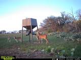 3873 Us Highway 87 - Photo 37