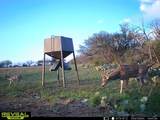 3873 Us Highway 87 - Photo 38