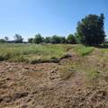 694 Bledsoe Road - Photo 3