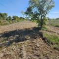 694 Bledsoe Road - Photo 4