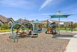 1105 Painted Lady Drive - Photo 33