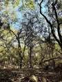 42 Acres County Road 2400 - Photo 3