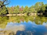 42 Acres County Road 2400 - Photo 5