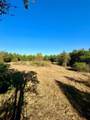 42 Acres County Road 2400 - Photo 9