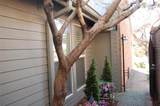 708 Carriage Way - Photo 5