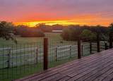 14740 Fm 1255 - Photo 40