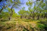 100 Acres Fm 2950 - Photo 26
