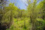 100 Acres Fm 2950 - Photo 28