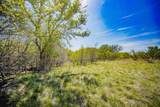 100 Acres Fm 2950 - Photo 29