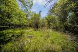 100 Acres Fm 2950 - Photo 38