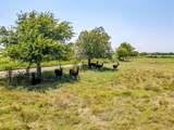 1041 County Road 310A - Photo 2