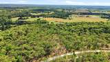 Lot 13 Buck Trail Road - Photo 14