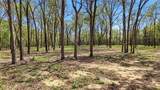 Lot 13 Buck Trail Road - Photo 2