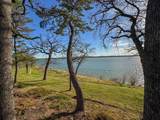 6401 Red Bud Drive - Photo 11