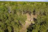 00 Farm To Market Road 2022 - Photo 5