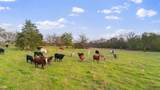 3647 County Road 265 - Photo 14