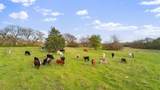 3647 County Road 265 - Photo 7