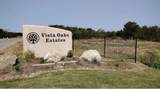 4139 Vista Oak Drive - Photo 1