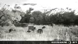 N/A Wayland Ranches - Photo 15