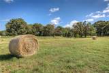 Lot 1 County Road 120 - Photo 5