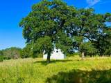 Lot 55 & 56 Kilkenny Road - Photo 1