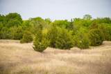 Lot 1 Pr 291 - Photo 11