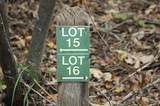 904 Sleepy Hollow Drive - Photo 3