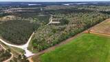 TBD Lake Nacogdoches Ranch - Photo 15