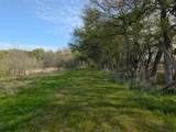 2787 Lonesome Dove - Photo 11