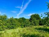 Lot 53 Wicklow Court - Photo 1