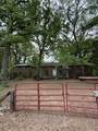 905 Tupuna Drive - Photo 2